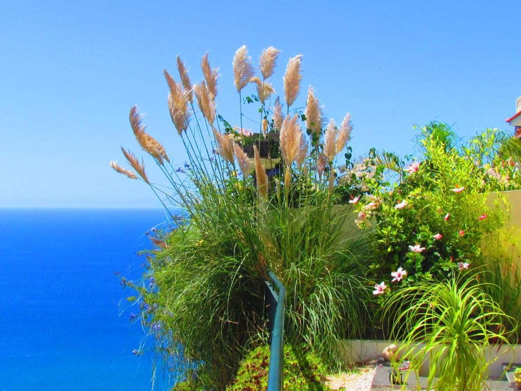 Casa Serena Apartments Arco da Calheta (Madeira) Exterior foto